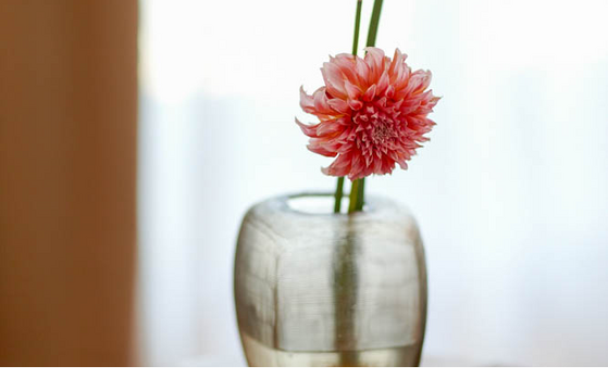 Einzelne rosa Blume in einer Glasvase auf einem Holztisch vor einem hellen Hintergrund im LOUIS Hotel München.