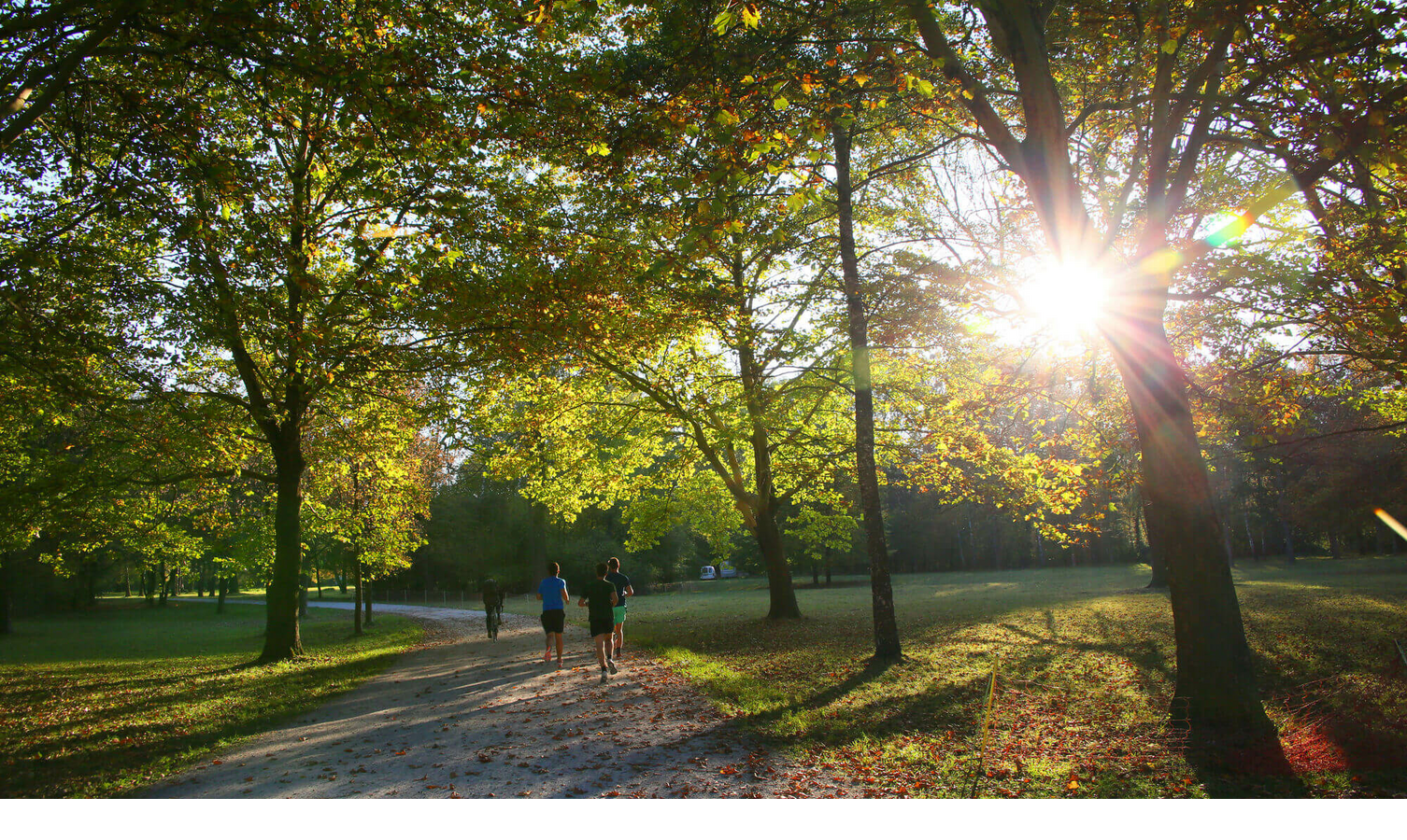 Sonnenstrahlen durch Bäume in einem Park, Menschen joggen auf einem Weg, herbstliche Stimmung.