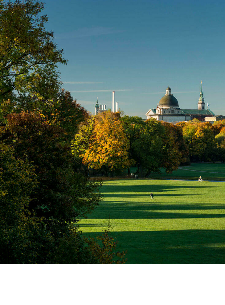 Spacious park with green meadows, colorful autumn trees and a city silhouette in the background under a clear sky.