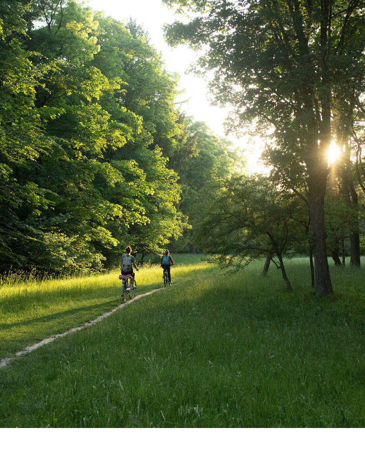 Zwei Radfahrer auf einem Waldweg bei Sonnenuntergang, umgeben von üppigen grünen Bäumen.