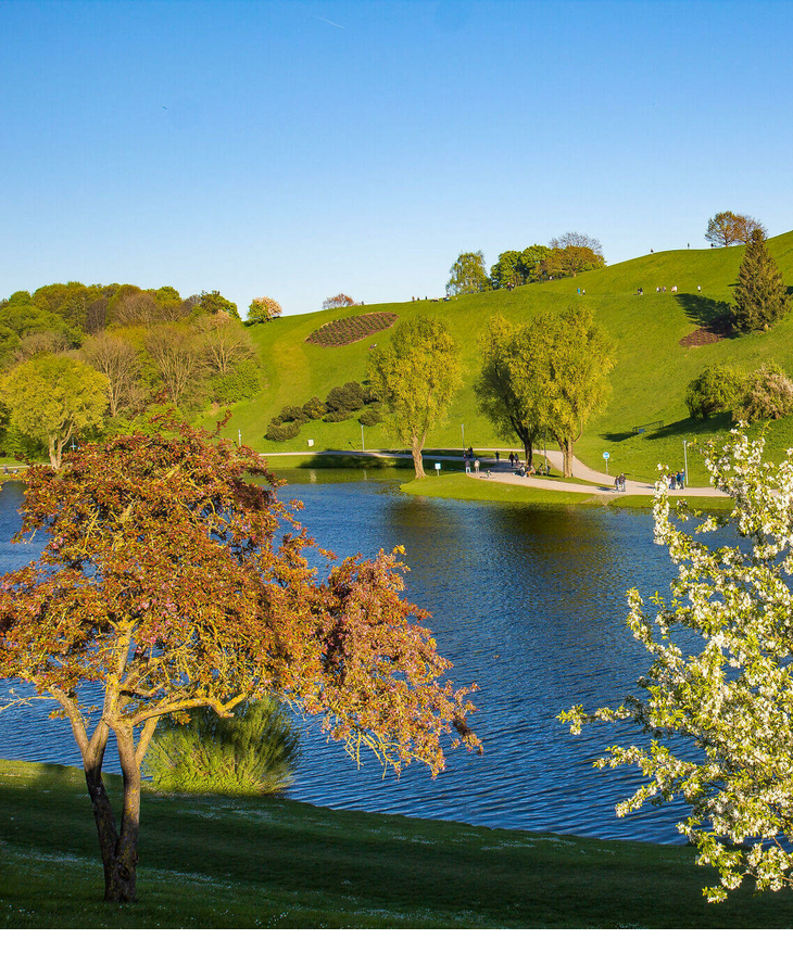 Green hills with blossoming trees and a lake in the foreground under a clear blue sky.